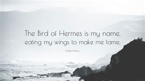 the bird of hermes origin|the bird of hermes is my name eating wings to make me tame.